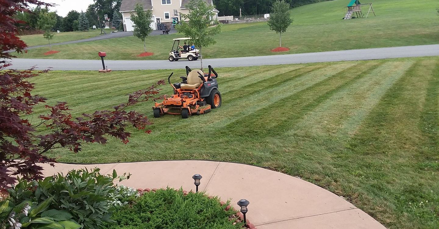 Spring Lawn Care and Maintenance!