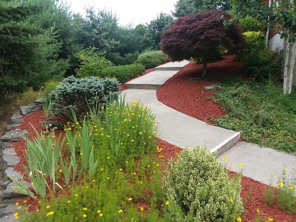 Orange County Lawn Care