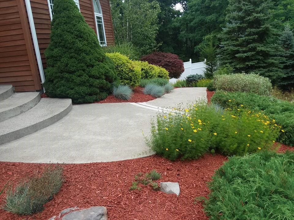 Gorgeous Walkway