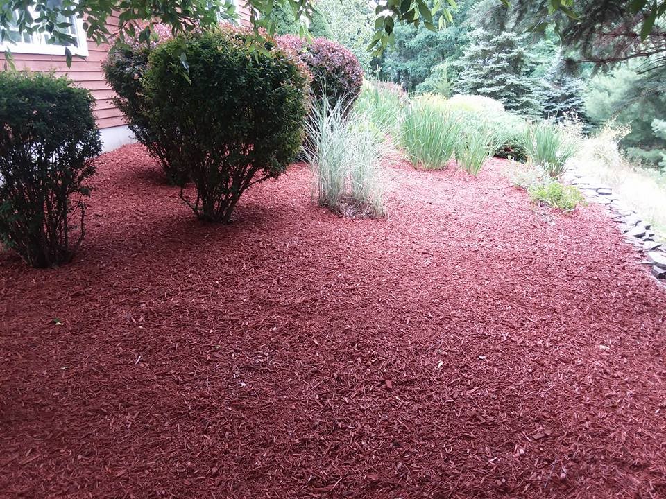 Mulch Garden